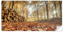 Selvklebende plakat Log pile in the autumn forest