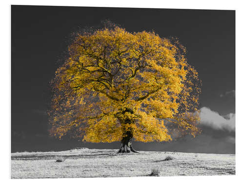 Quadro em PVC Yellow Tree on a Hill