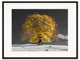 Gerahmter Kunstdruck Gelber Baum auf einem Hügel