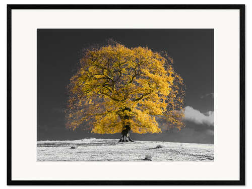 Kehystetty taidepainatus Yellow Tree on a Hill