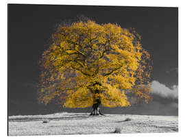 Magnettafel Gelber Baum auf einem Hügel
