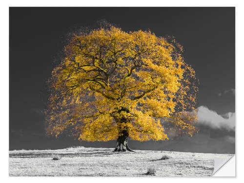 Wall sticker Yellow Tree on a Hill