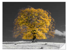 Wall sticker Yellow Tree on a Hill