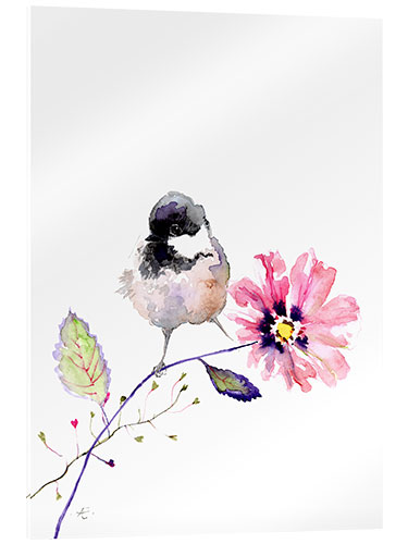 Acrylic print Great Tit on Cosmos Flower