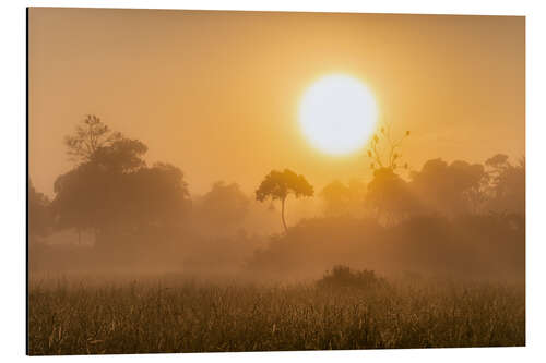 Aluminium print Sunrise in the Masai Mara, Kenya I