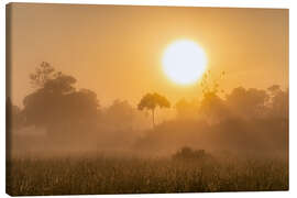 Canvas print Sunrise in the Masai Mara, Kenya I