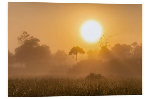 Foam board print Sunrise in the Masai Mara, Kenya I