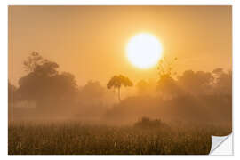 Sticker mural Sunrise in the Masai Mara, Kenya I