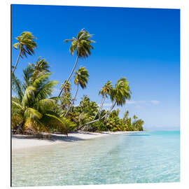 Magnettafel Tropische Insel in der Südsee