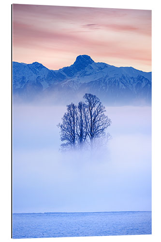 Quadro em plexi-alumínio Tree in the fog, Switzerland