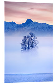 Tableau en plexi-alu Tree in the fog, Switzerland