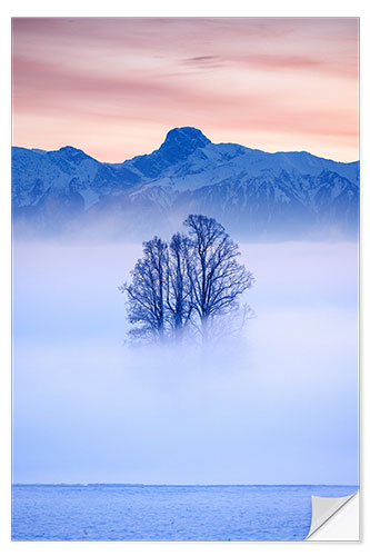 Sticker mural Tree in the fog, Switzerland