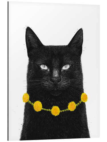 Tableau en aluminium Black Cat With Dandelion Necklace