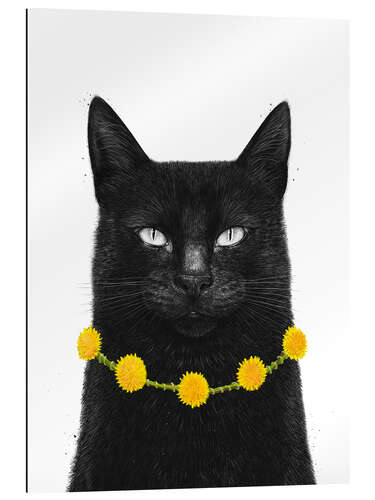 Gallery Print Schwarze Katze mit Löwenzahnkette