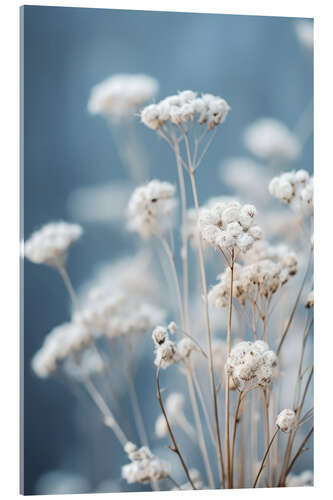 Acrylic print Gentle Blue Mood