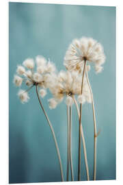 PVC-tavla Fluffy Flowers