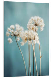 Galleriprint Fluffy Flowers