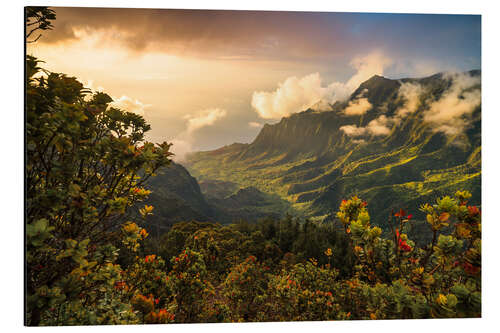 Tableau en aluminium Sunset in the Valley, Hawaii