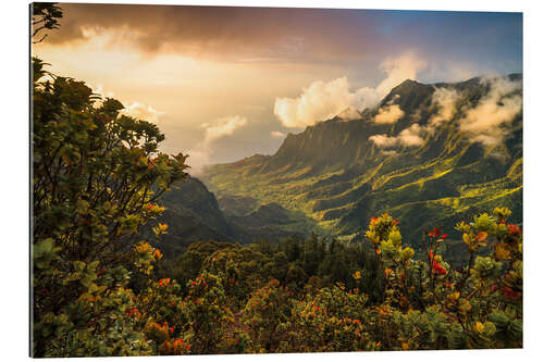 Quadro em plexi-alumínio Sunset in the Valley, Hawaii