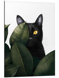 Tableau en aluminium Black Cat in Hiding