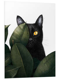 Foam board print Black Cat in Hiding