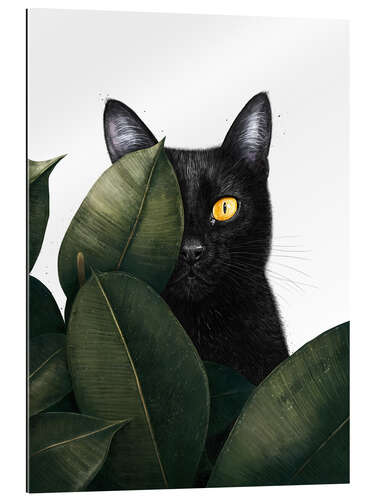 Gallery print Black Cat in Hiding