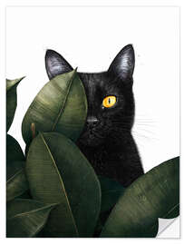 Selvklebende plakat Black Cat in Hiding