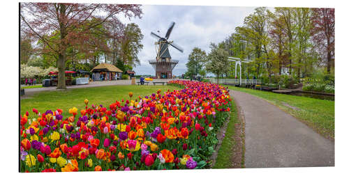 Tableau en aluminium Keukenhof Garden