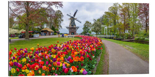 Gallery print Keukenhof Garden