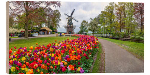 Tableau en bois Keukenhof Garden