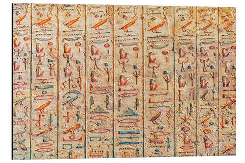 Alumiinitaulu Egyptian Hieroglyphs