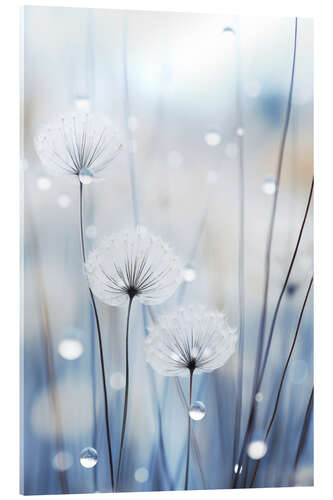 Tableau en verre acrylique Big Drops