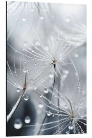 Magnettafel Kleine nasse Welt - treechild