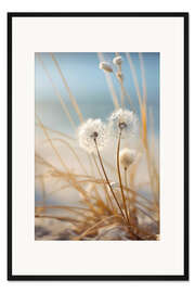Gerahmter Kunstdruck Pusteblumen am Strand