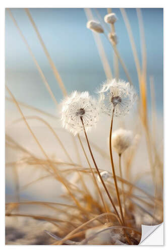 Selvklebende plakat Dandelions on the Beach