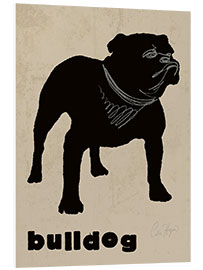 Foam board print Bulldog