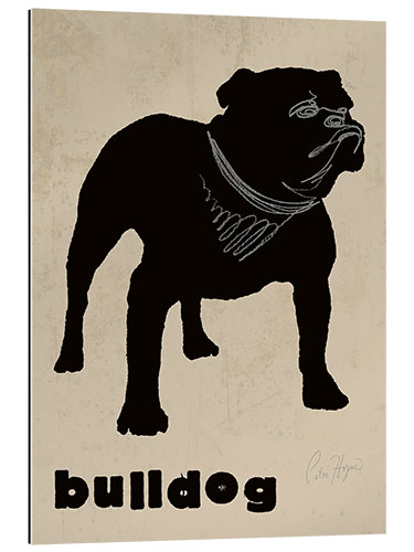 Gallery print Bulldog