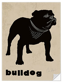 Naklejka na ścianę Bulldog