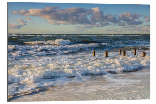 Aluminium print Wild Baltic Sea