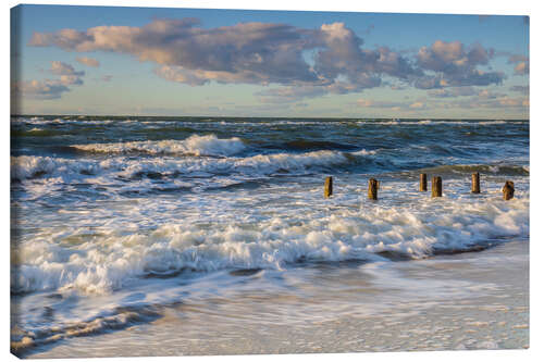 Leinwandbild Wilde Ostsee