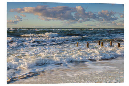 Quadro em PVC Wild Baltic Sea