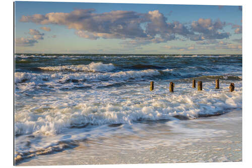 Stampa su plexi-alluminio Wild Baltic Sea