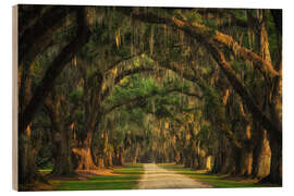 Tableau en bois Tree Tunnel in South Carolina I