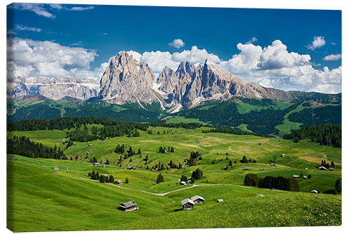 Canvas print Alpe di Siusi and Sassolungo Group, South Tyrol