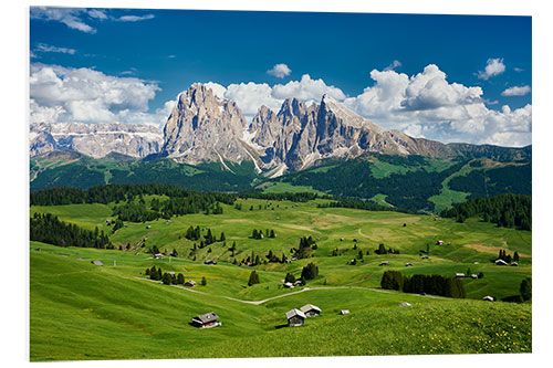 Foam board print Alpe di Siusi and Sassolungo Group, South Tyrol