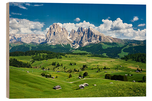 Wood print Alpe di Siusi and Sassolungo Group, South Tyrol