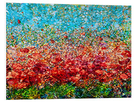 Foam board print Poppy Field