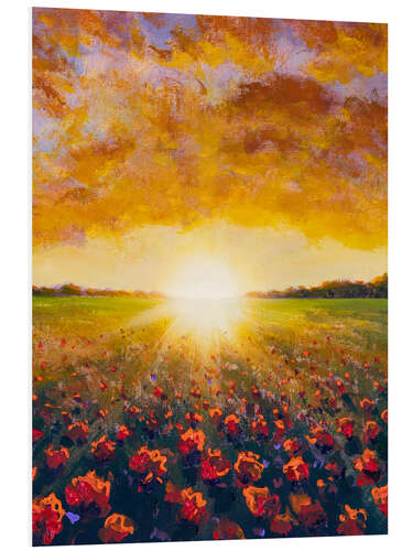 Print på skumplade Cloudy Sunset over Poppy Filed