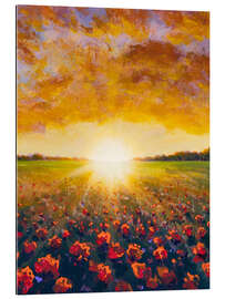 Tableau en plexi-alu Cloudy Sunset over Poppy Filed