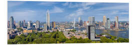 Foam board print Rotterdam Panorama from Euromast